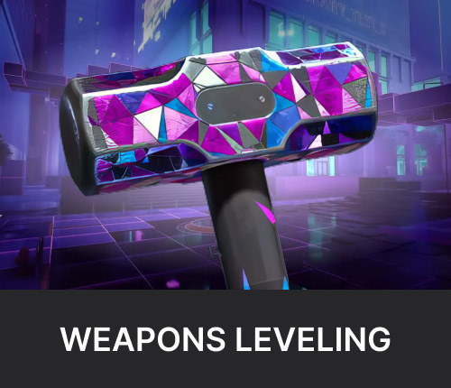 Weapons Leveling